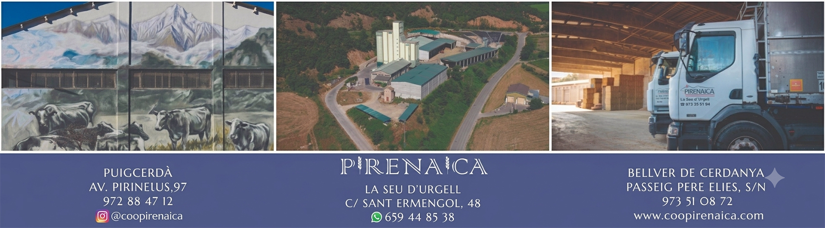 banner pirenaica