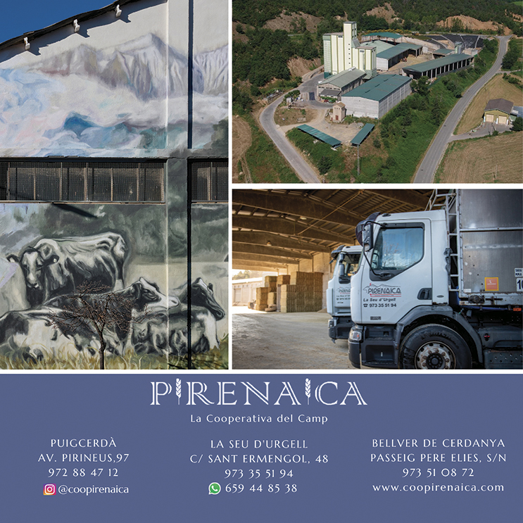 pirenaica s.c.c.l - 1